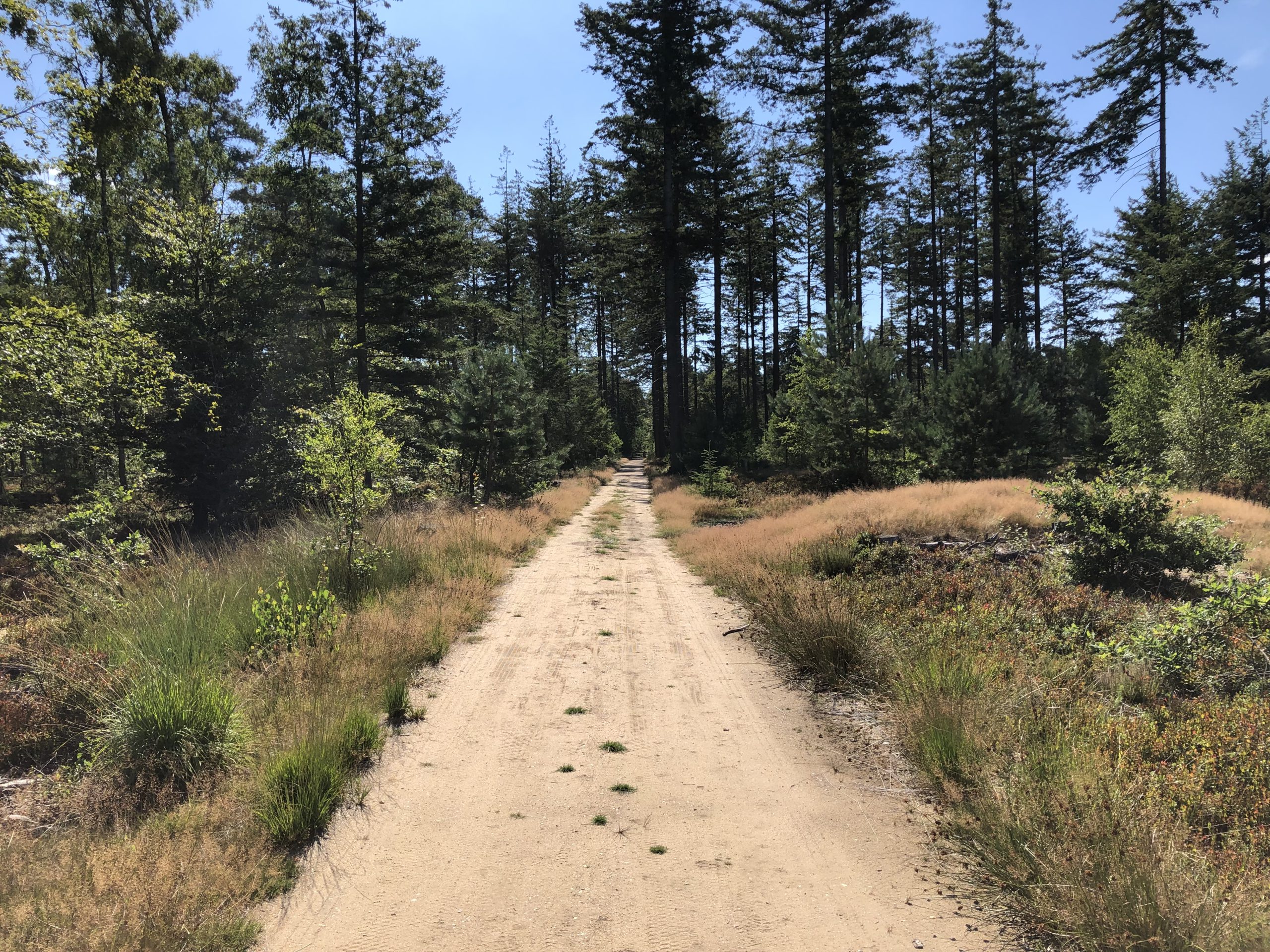 P37 Elspeet – Apeldoorn