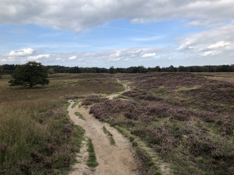 P27 Zuidlaren – Assen.