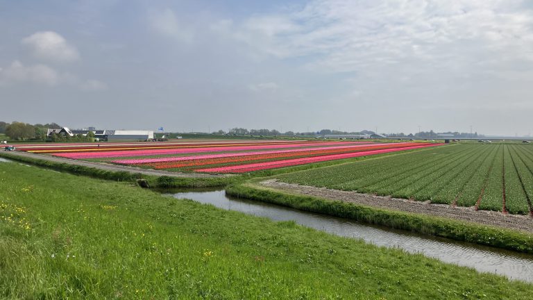 P02 Haarlem – Hoorn.