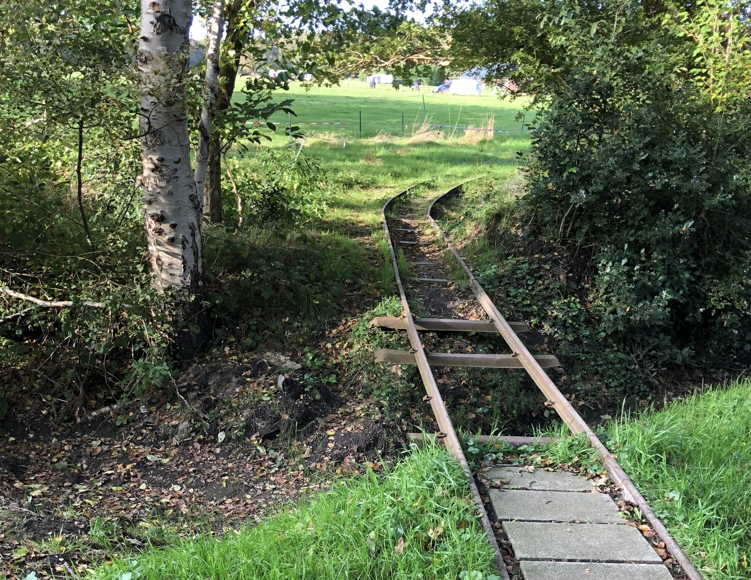 P29 Hoogersmilde – Diever – Havelte