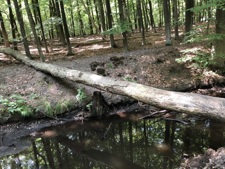 P36 Harderwijk – Elspeet.