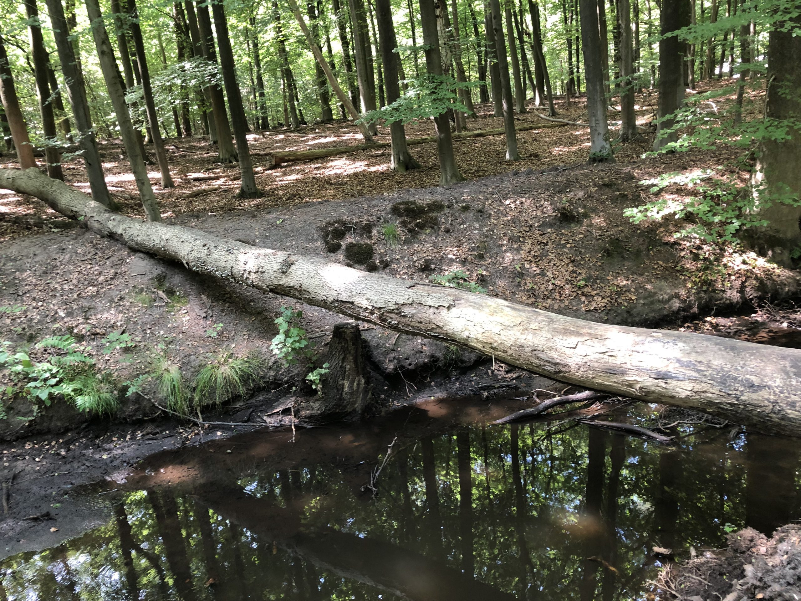 P36 Harderwijk – Elspeet.