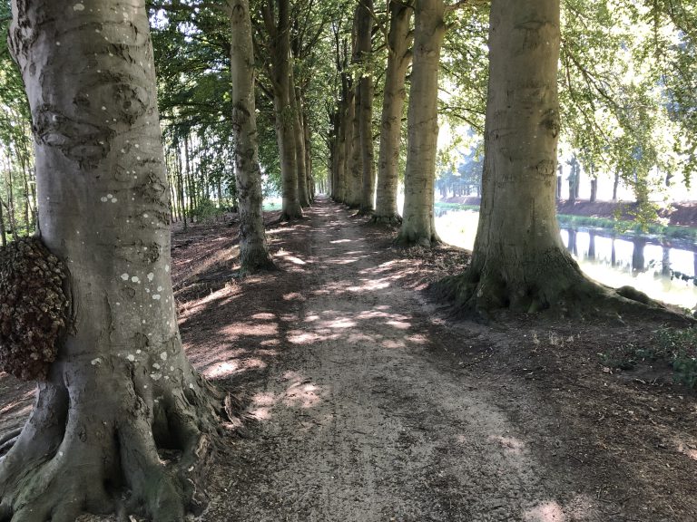 P41 Holten – Markelo.