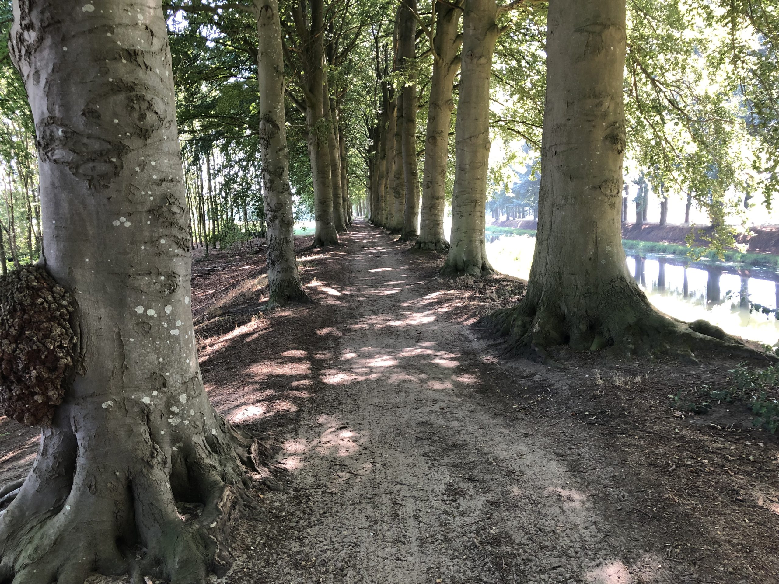 P41 Holten – Markelo.