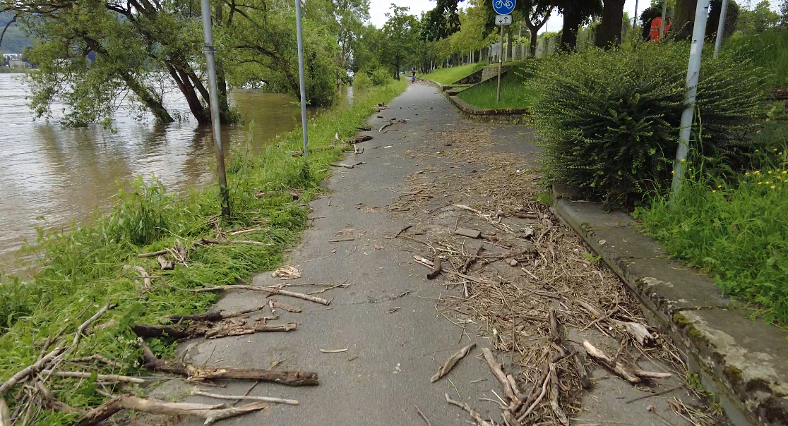 Etappe 4 Keulen – Rheineck.