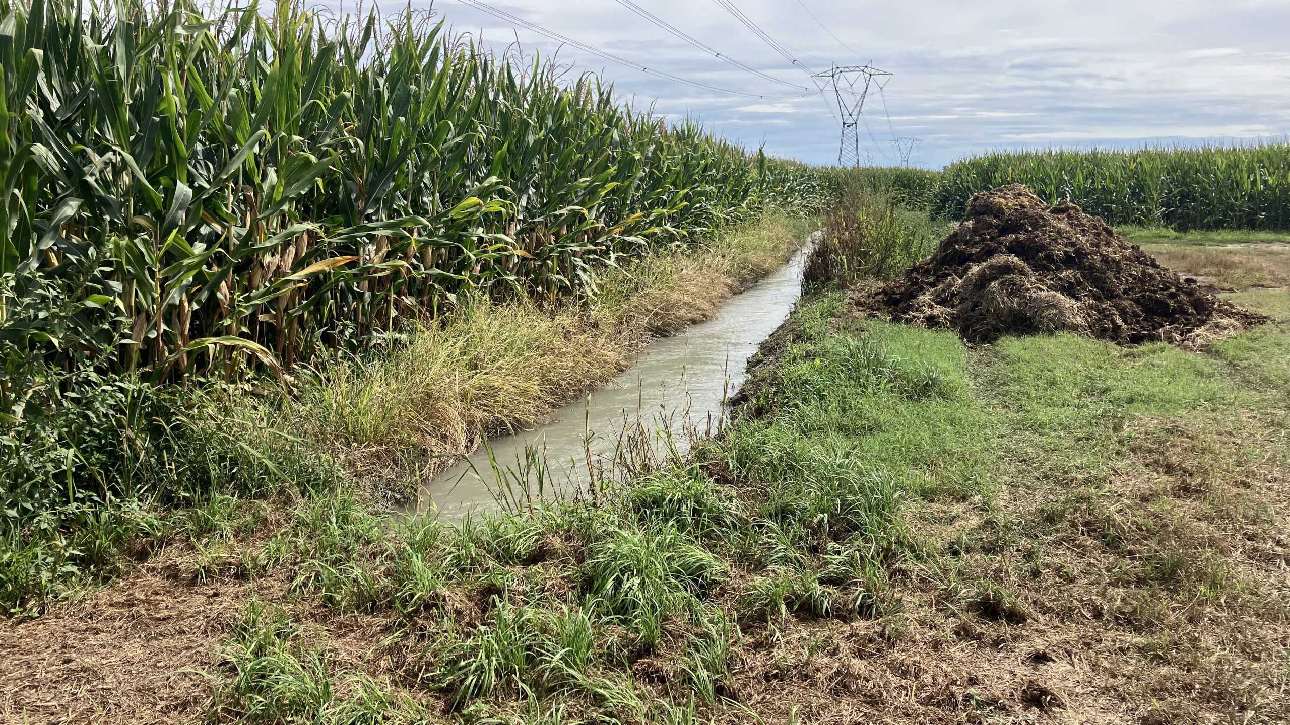 Etappe 20: Viverone naar Montafia