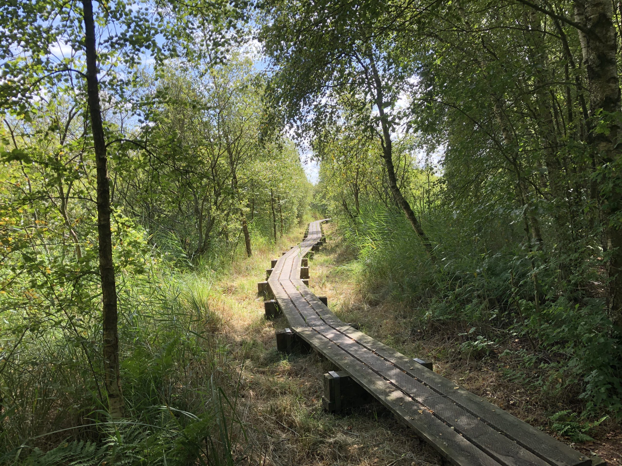 P17 Heerenveen – Akkrum.